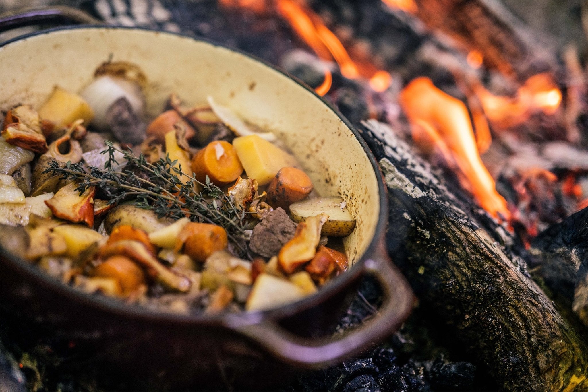 Braised Moose & Chanterelle Stew from Paul Templeton - Hooké