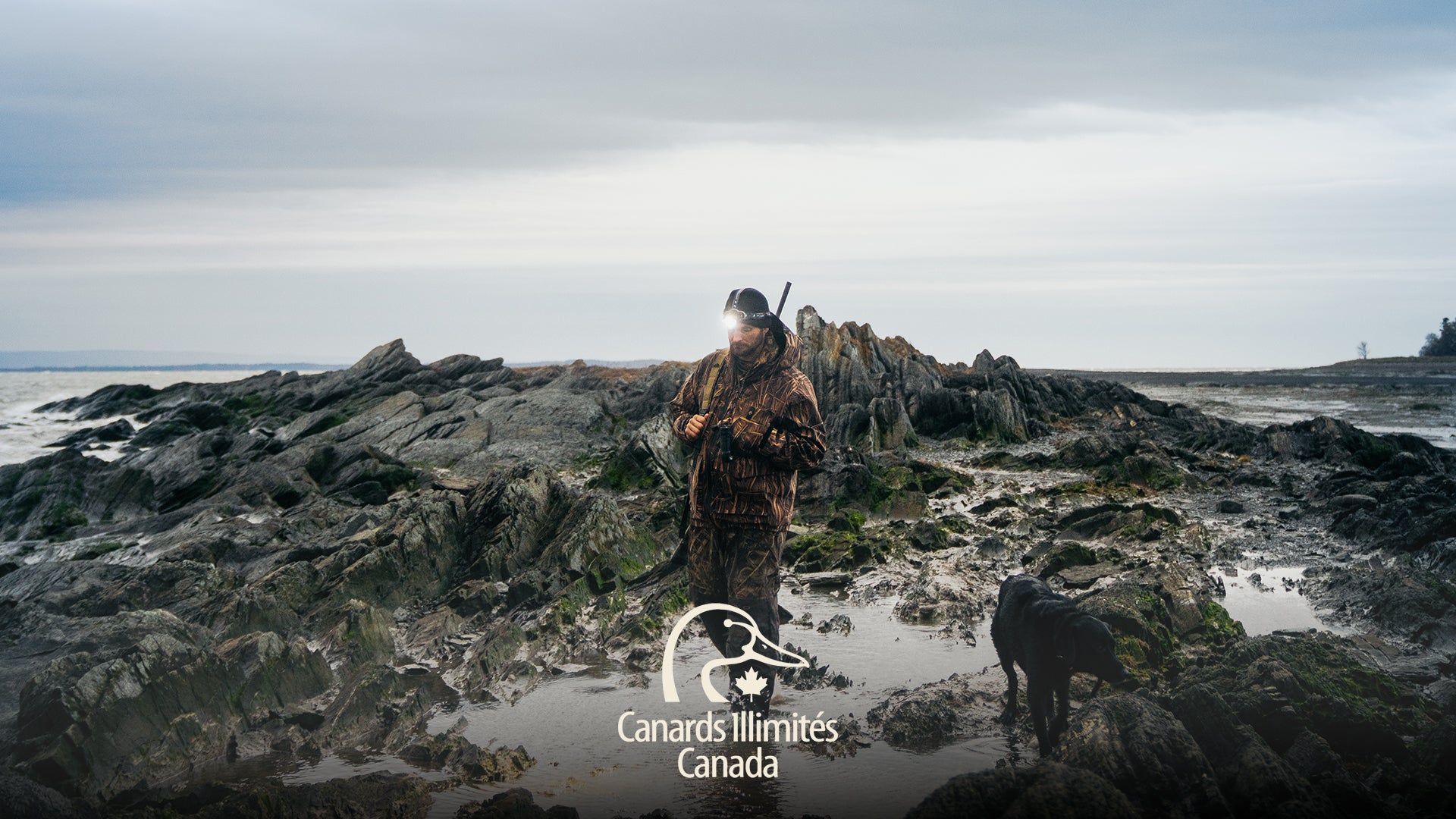 Ducks Unlimited Canada - Hooké