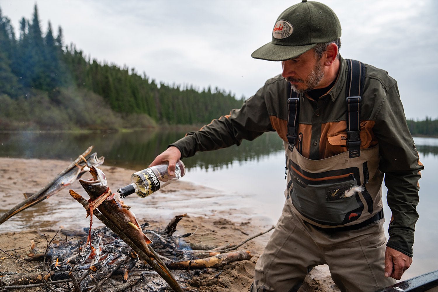 FROM NATURE TO PLATE - Hooké