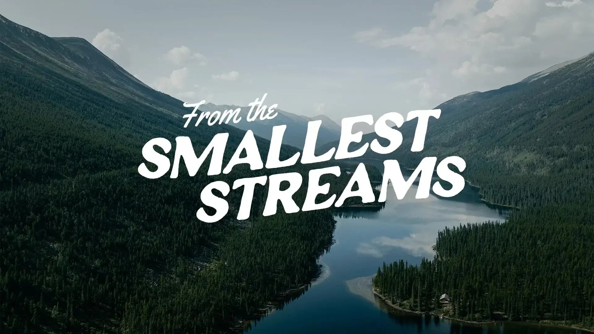 From the Smallest Stream - Hooké