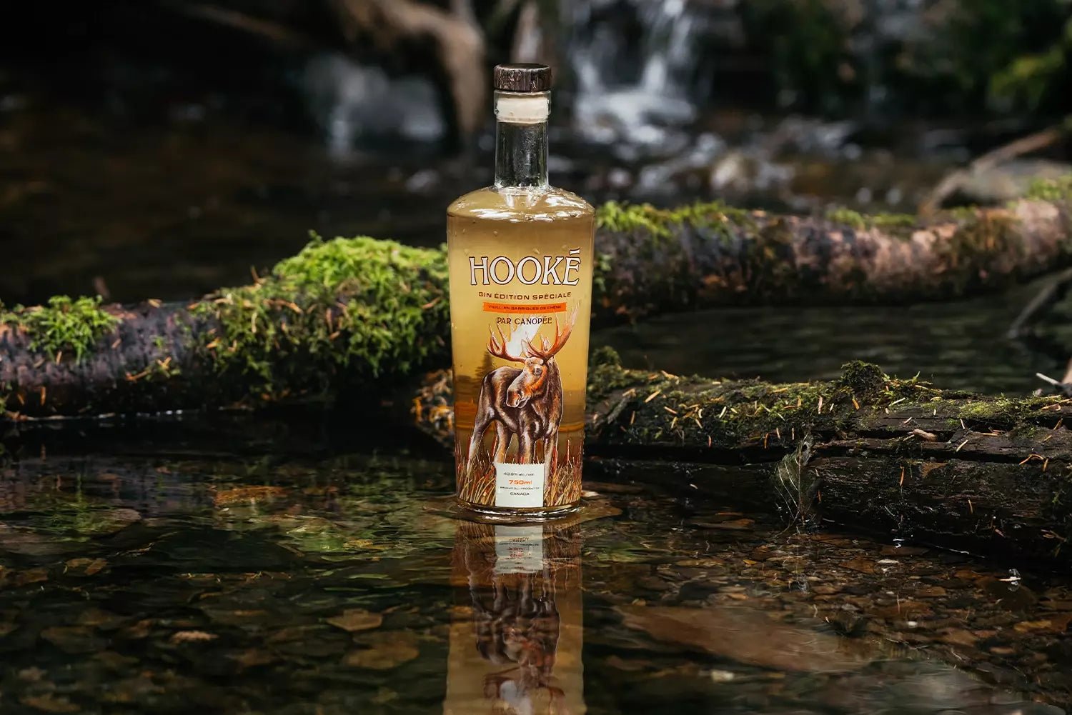 Hooké Gin by Canopée: Celebrating nature - Hooké