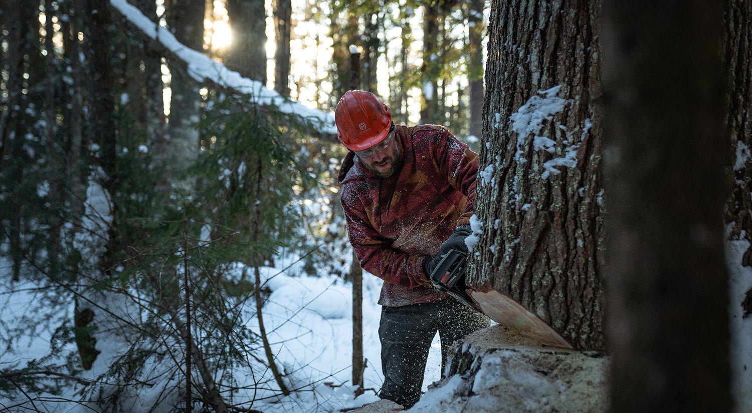 How to cut a tree with Max Béland - Hooké