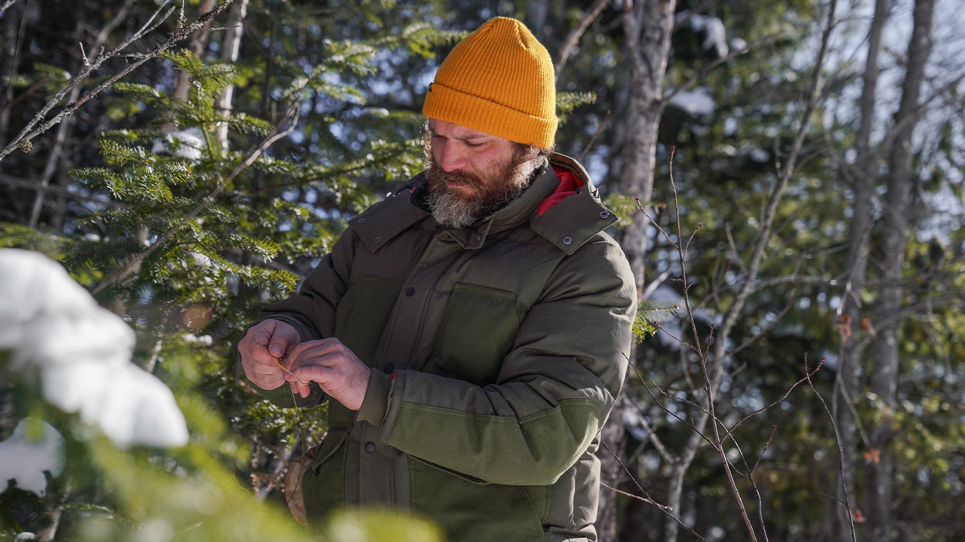How to install a rabbit snare - Hooké