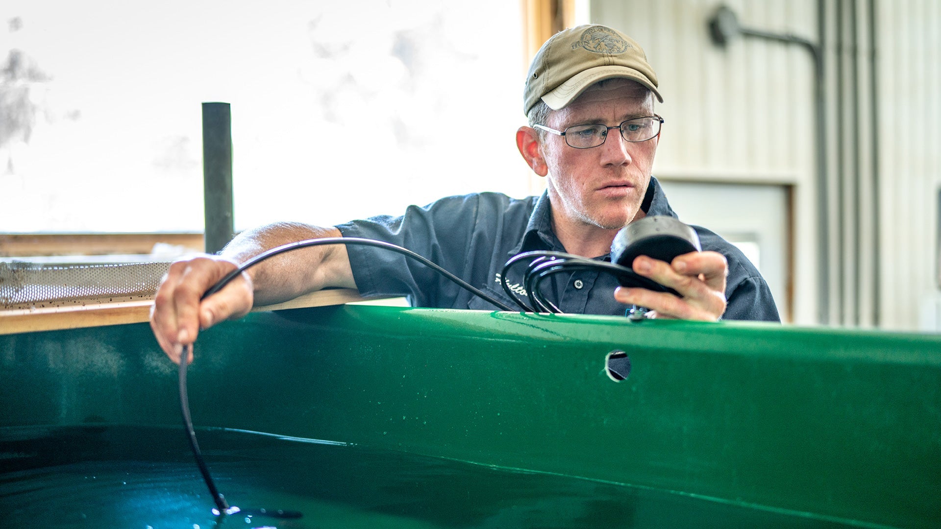 Hylton Lewis - Hooké