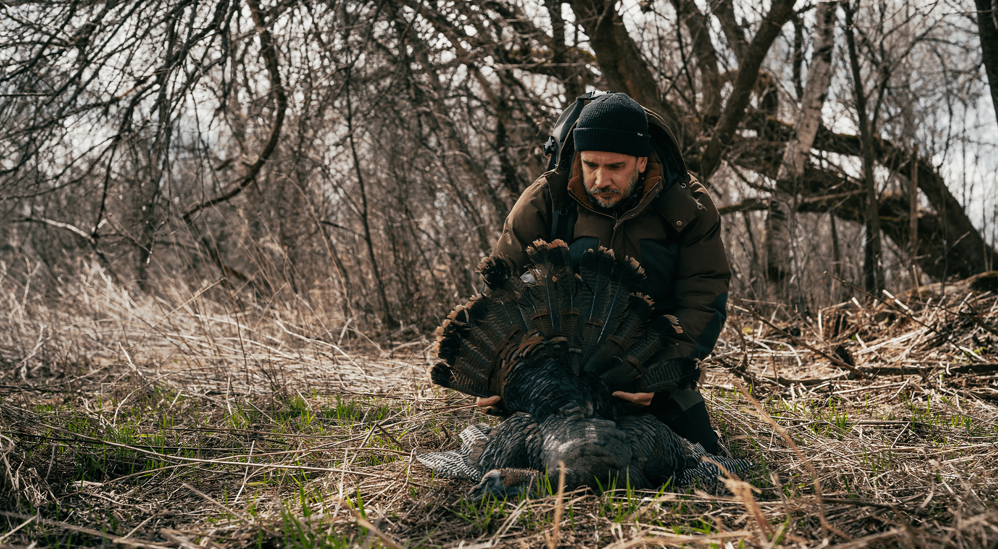 Jean-Philippe Leclerc - Hooké