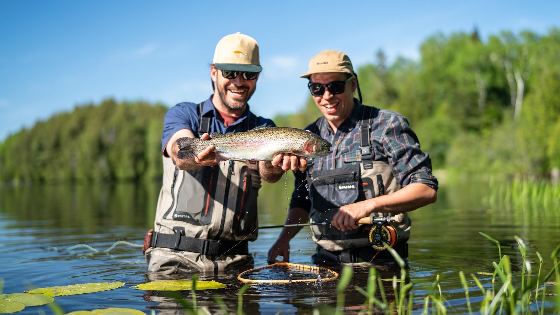 KENAUK NATURE - Hooké