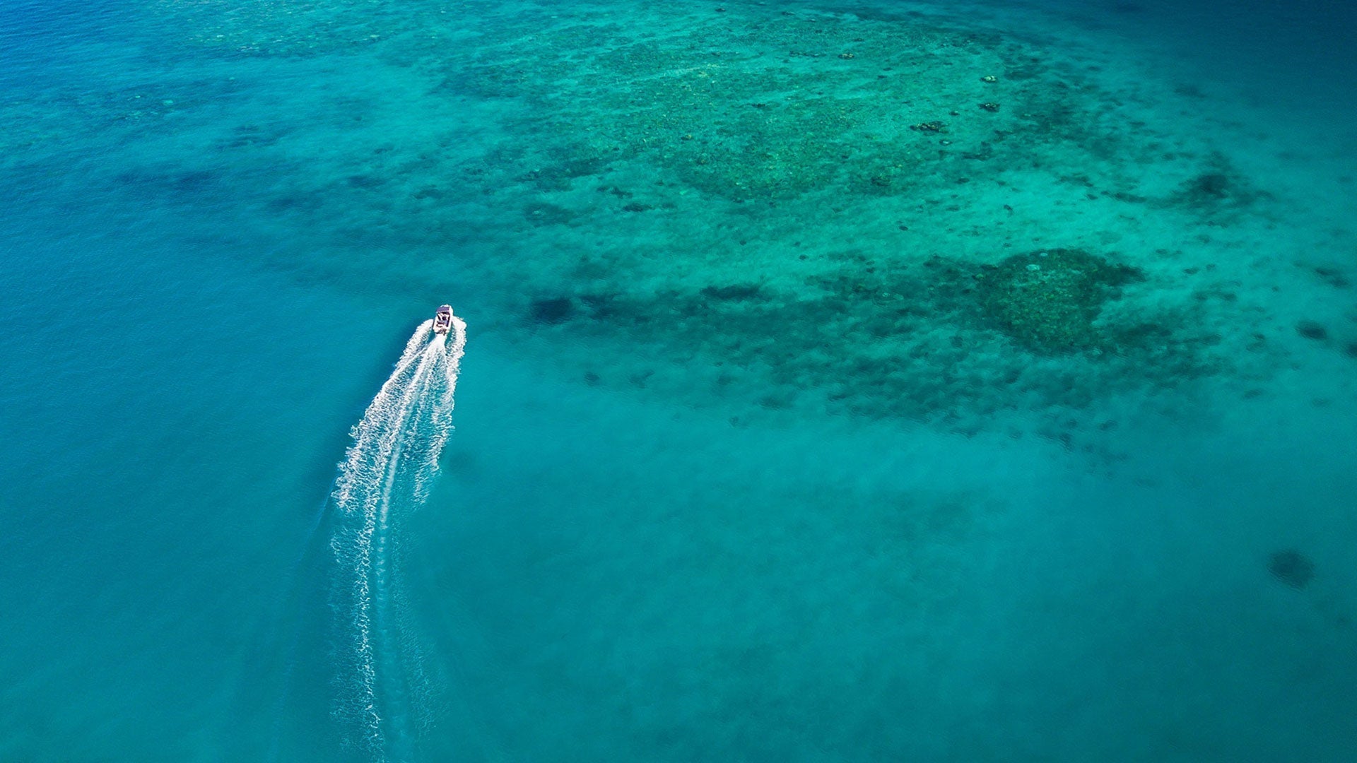 KOOKABURRA : THE GREAT BARRIER REEF IN AUSTRALIA - Hooké