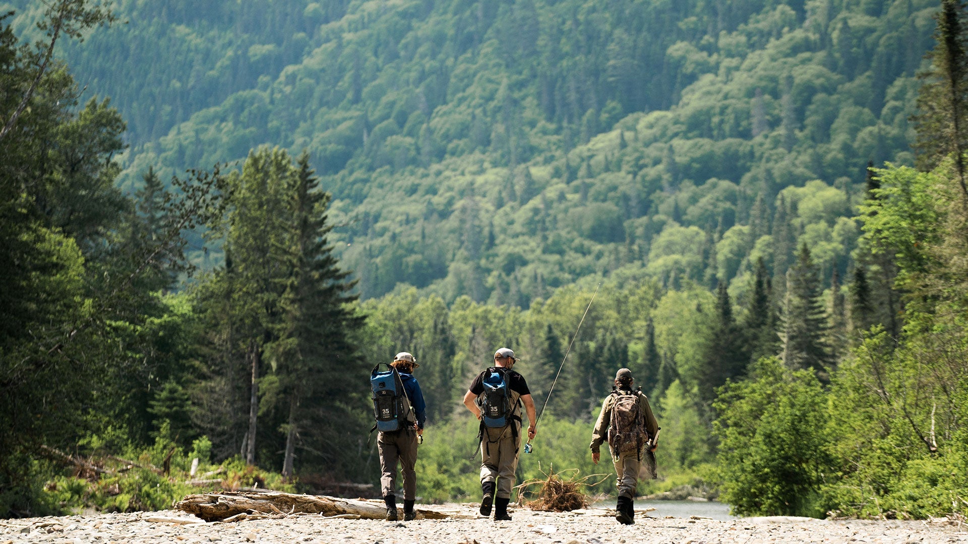 Legacy of Guides - Hooké