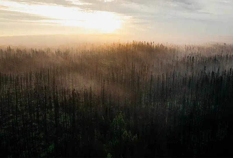 Let's avoid avoidable fires - Hooké