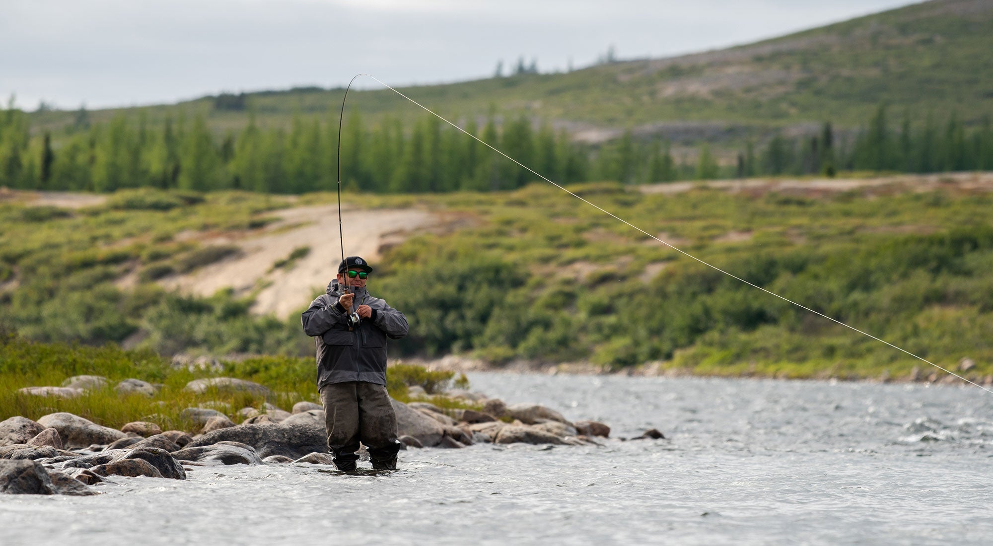 Louis Tardif - Hooké