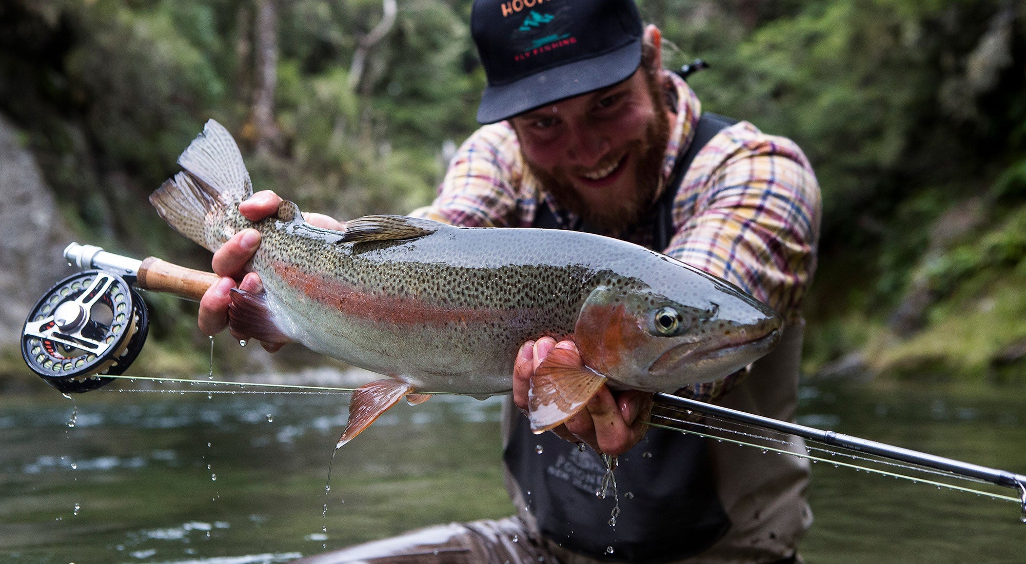 New Zealand - Hooké