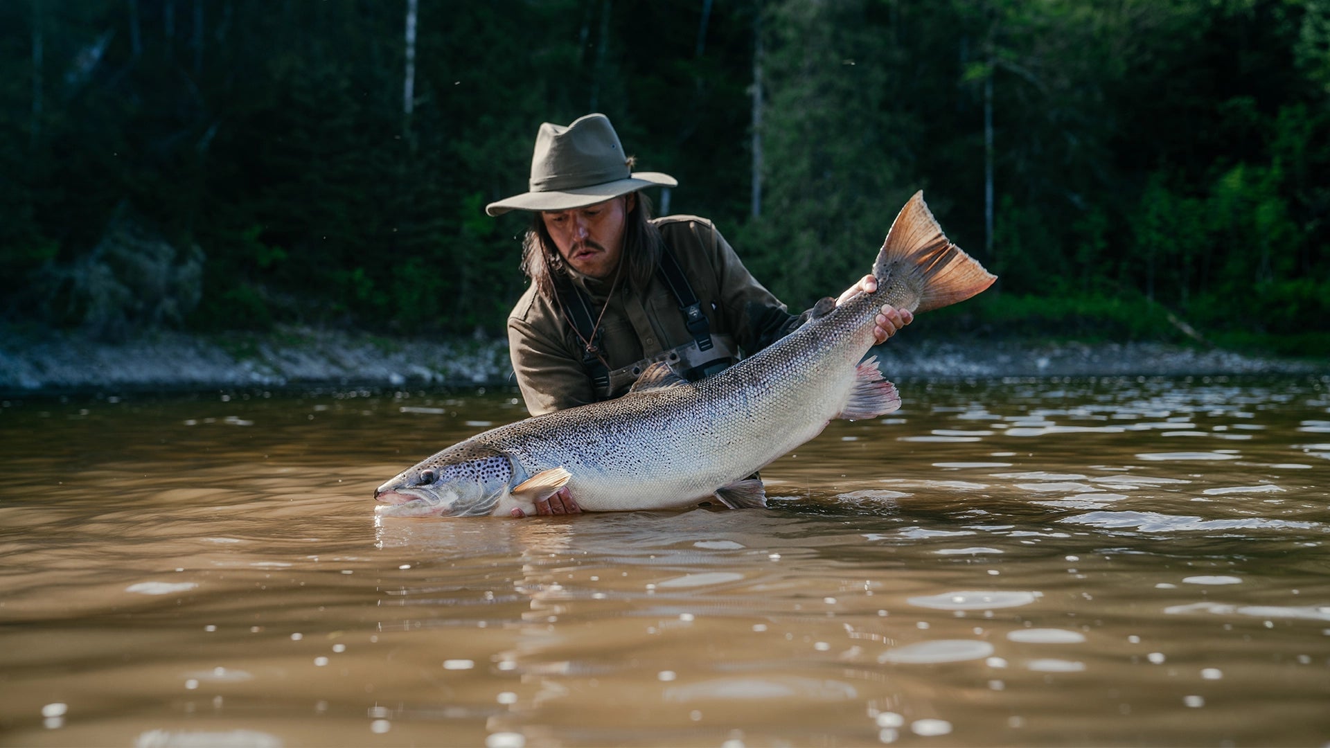 Only The Salmon Knows - Hooké