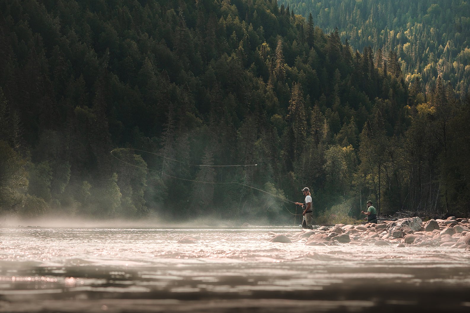 PALM Festival 2022 - Hooké