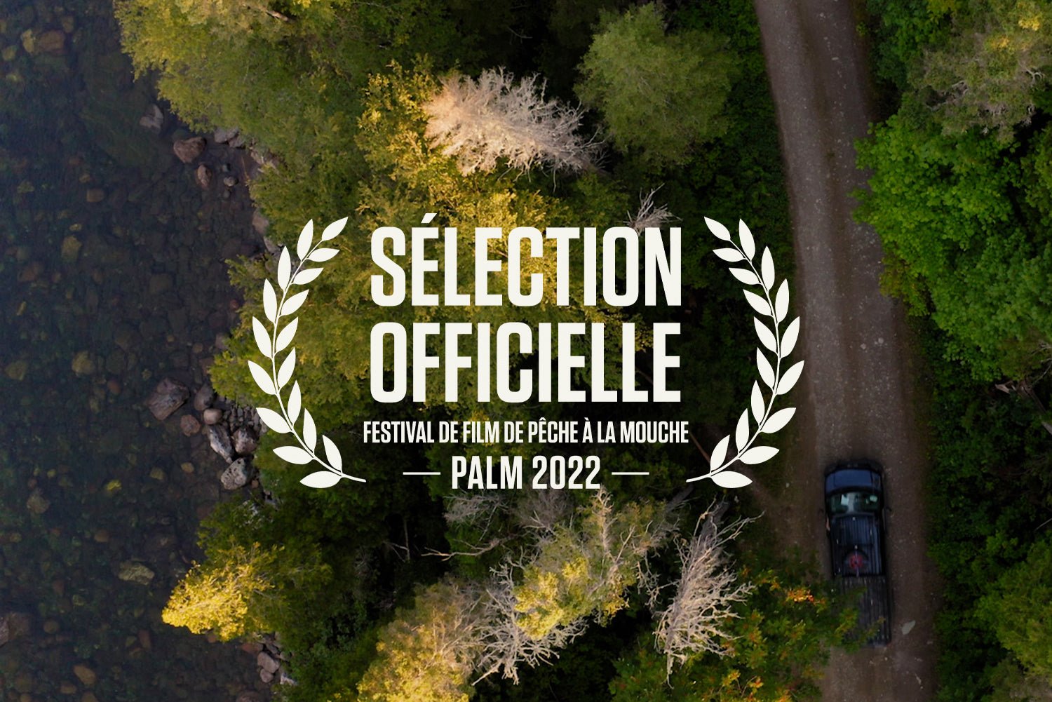 PALM FESTIVAL 2022 Trailers Films - Hooké