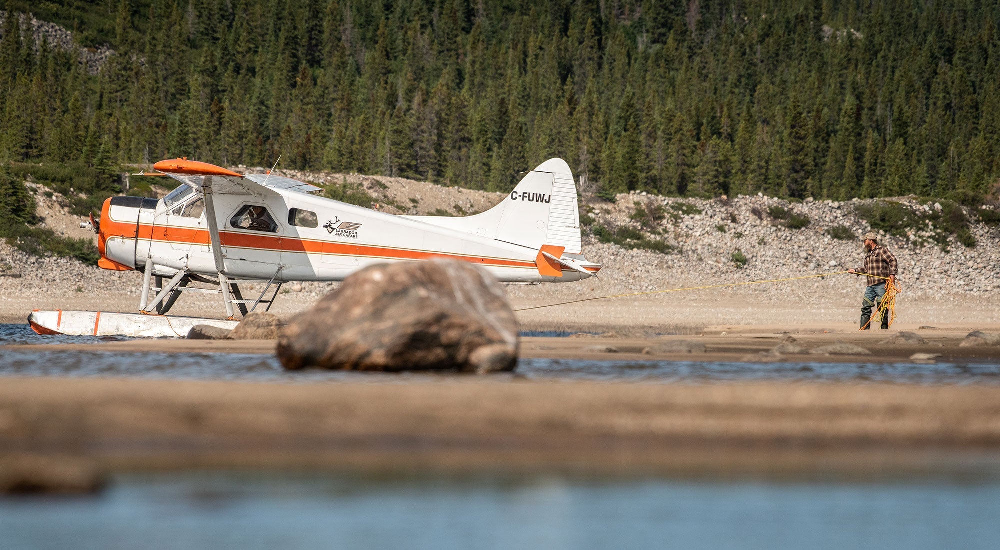 Richard Hume - Hooké