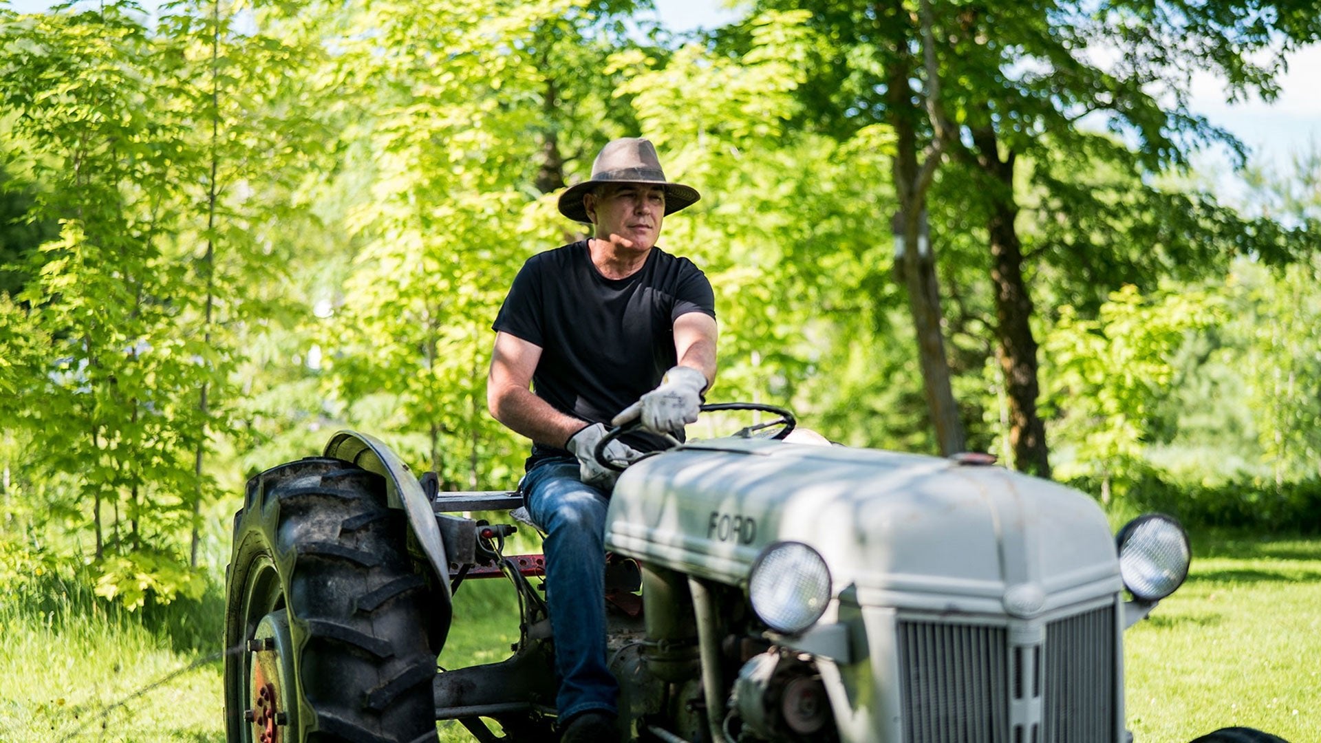 Roch Lefrançois - Hooké