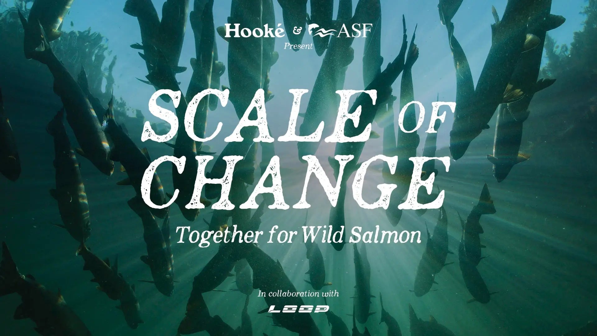 Scale of Change - Hooké