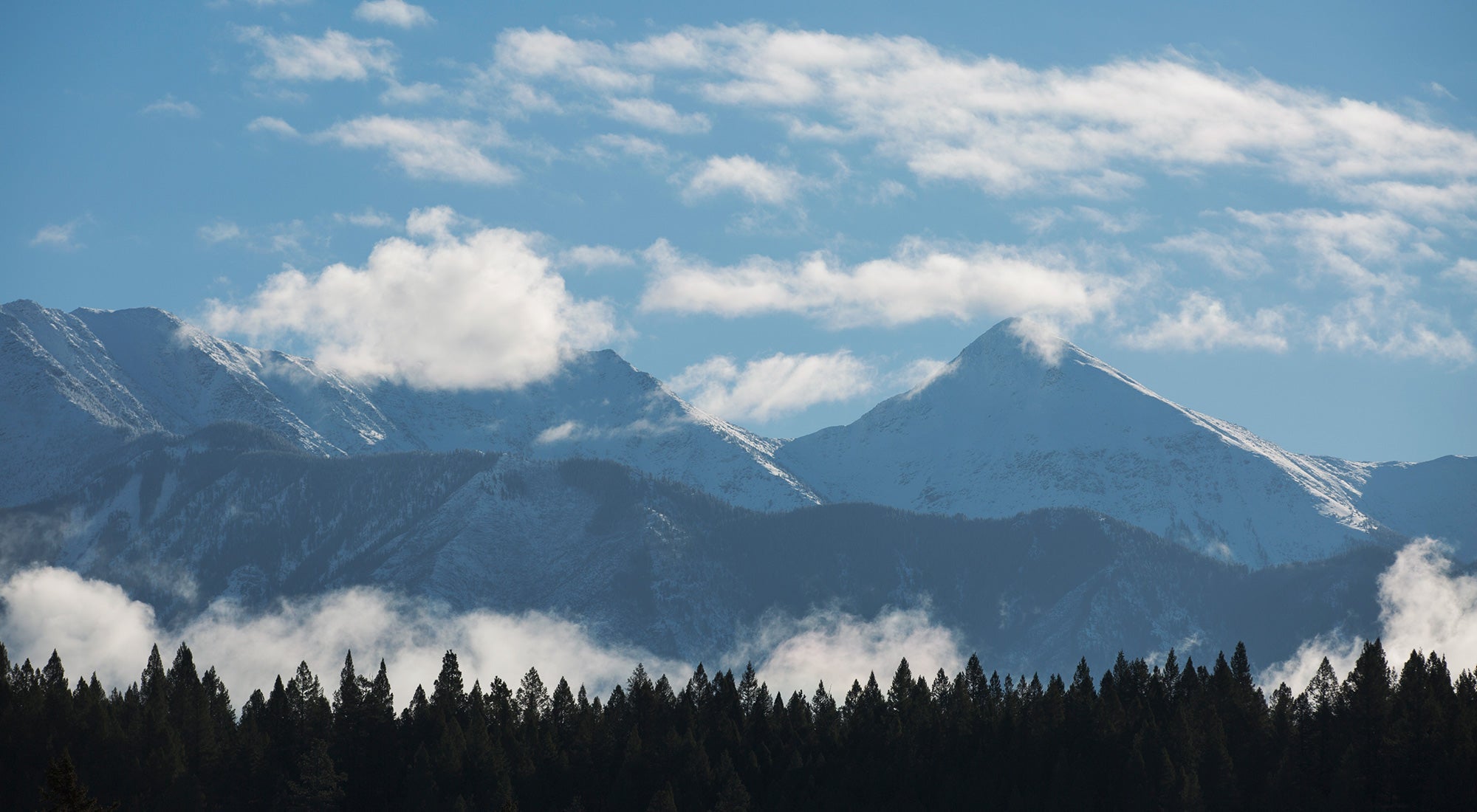 SOUTH BC : FLY FISHING FOR TROUT IN THE ROCKIES - Hooké