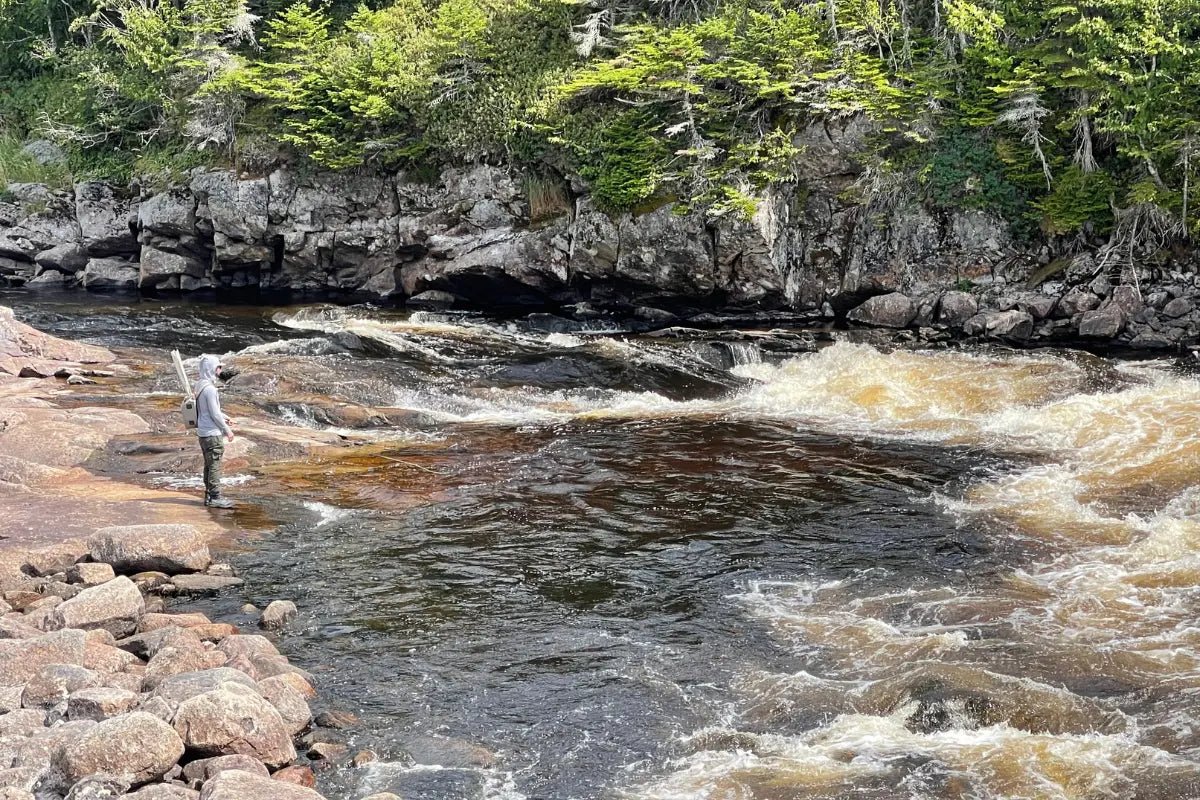 Summer Salmon Fishing - Hooké