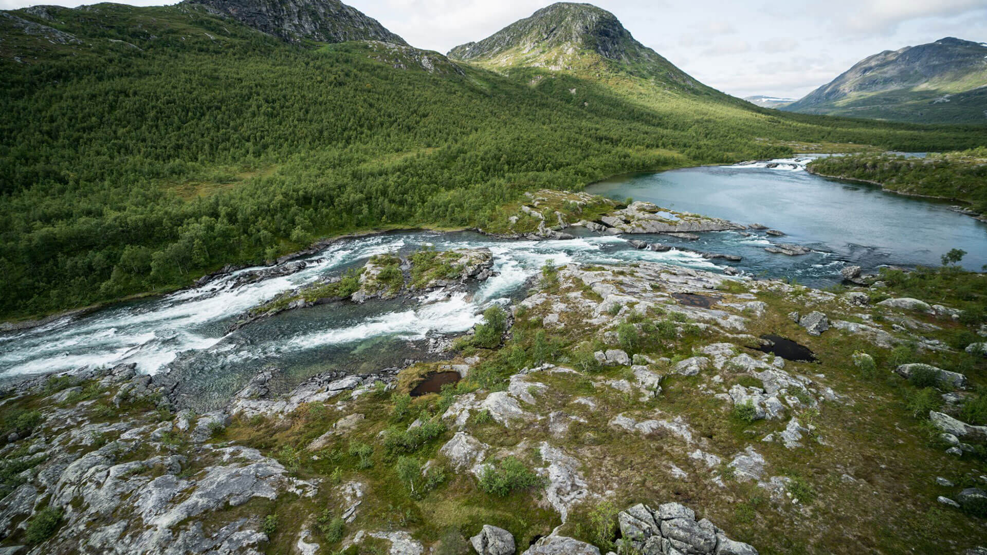 SWEDEN: THE SWEDISH GRAND SLAM - Hooké