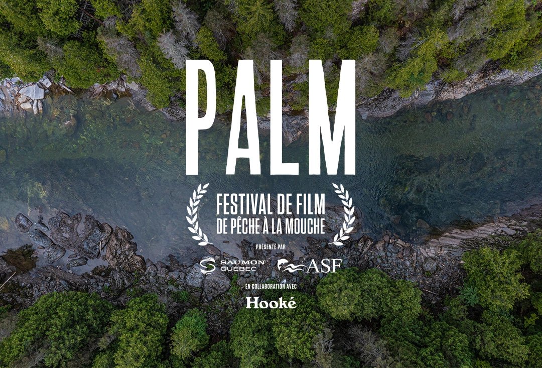THE PALM FESTIVAL 8th edition - Hooké