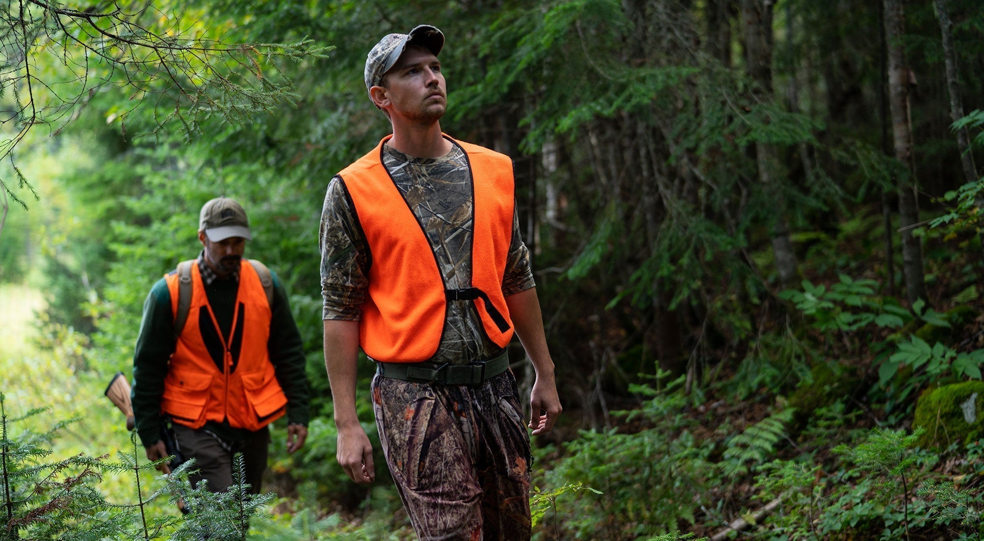 TOURILLI - FALL BLACK BEAR - Hooké