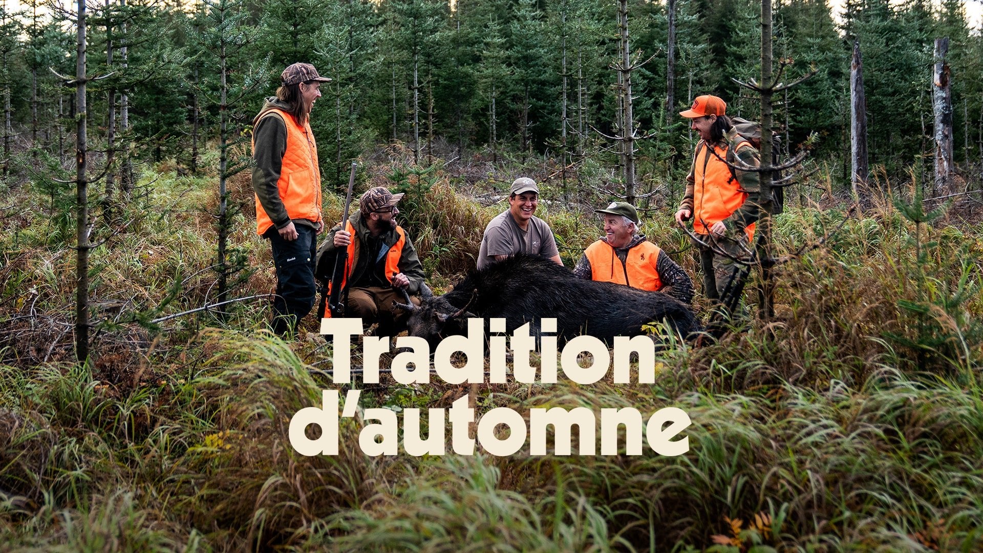 Tradition d'automne - Hooké
