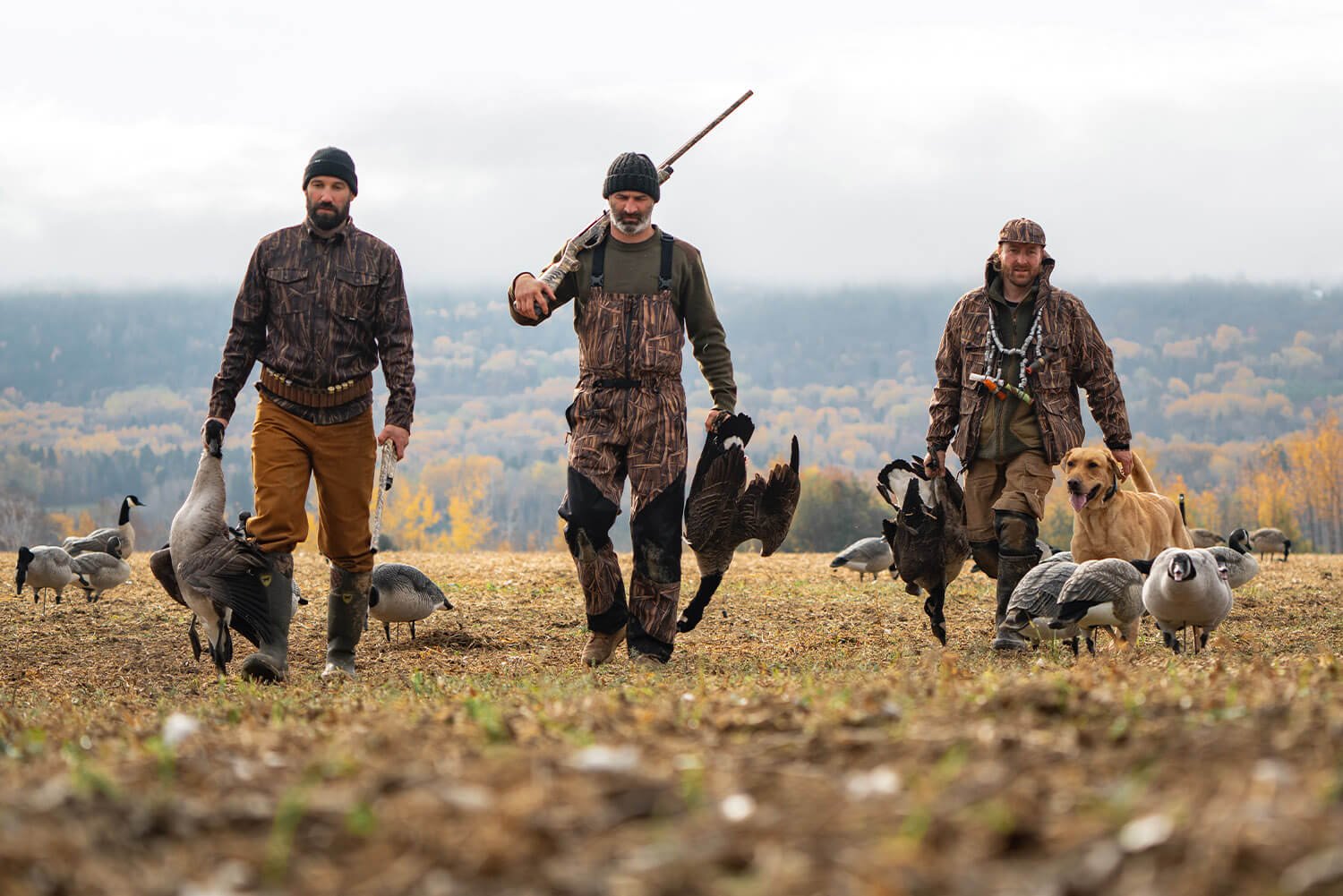 Waterfowl Hunting in Lac Saint-Jean - Hooké