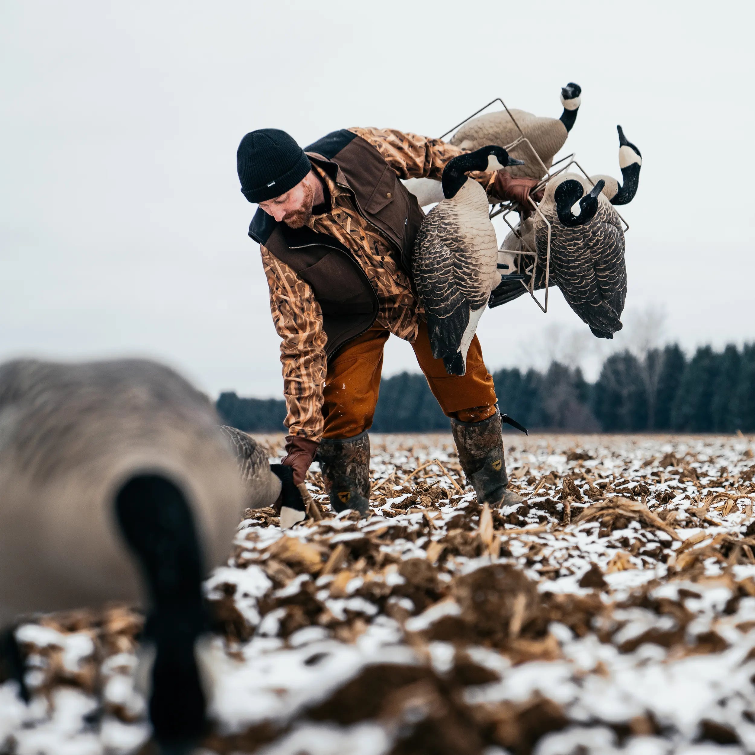 Hooké Original Beanie - Hooké