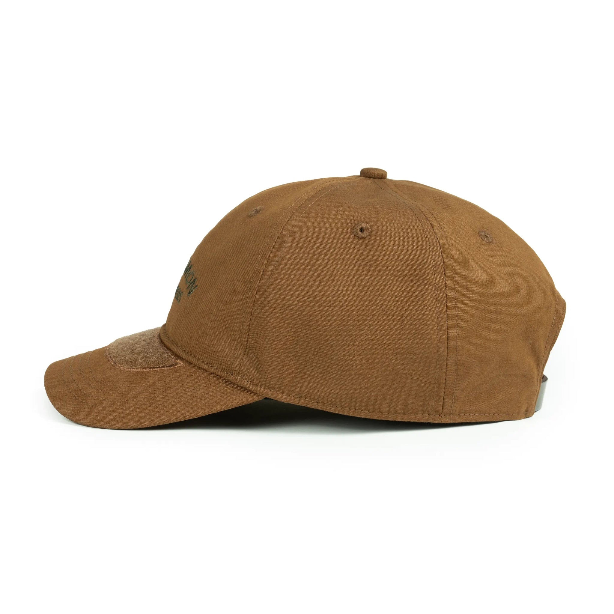 Wild Salmon Wild Rivers Dad Hat - Hooké