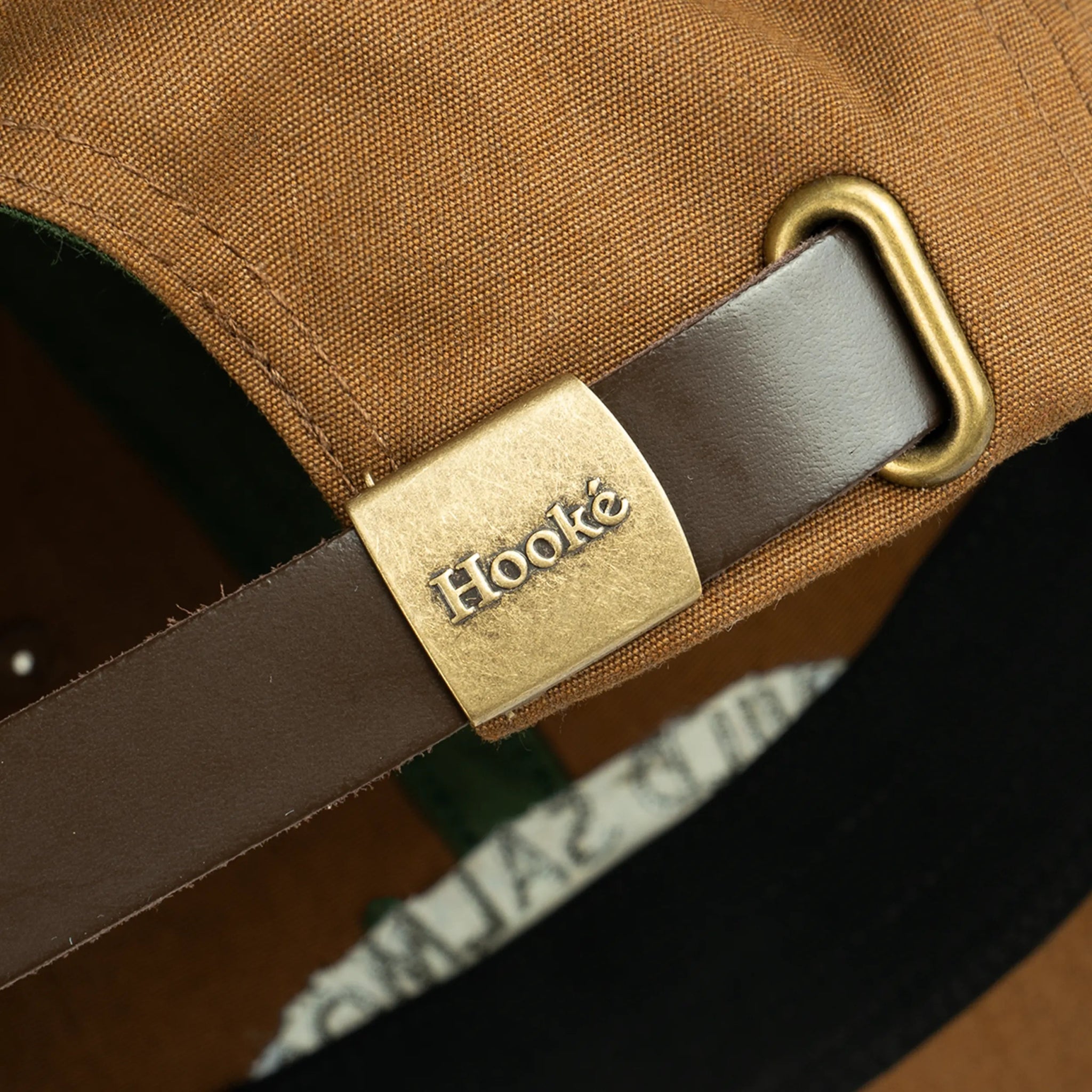 Wild Salmon Wild Rivers Dad Hat - Hooké