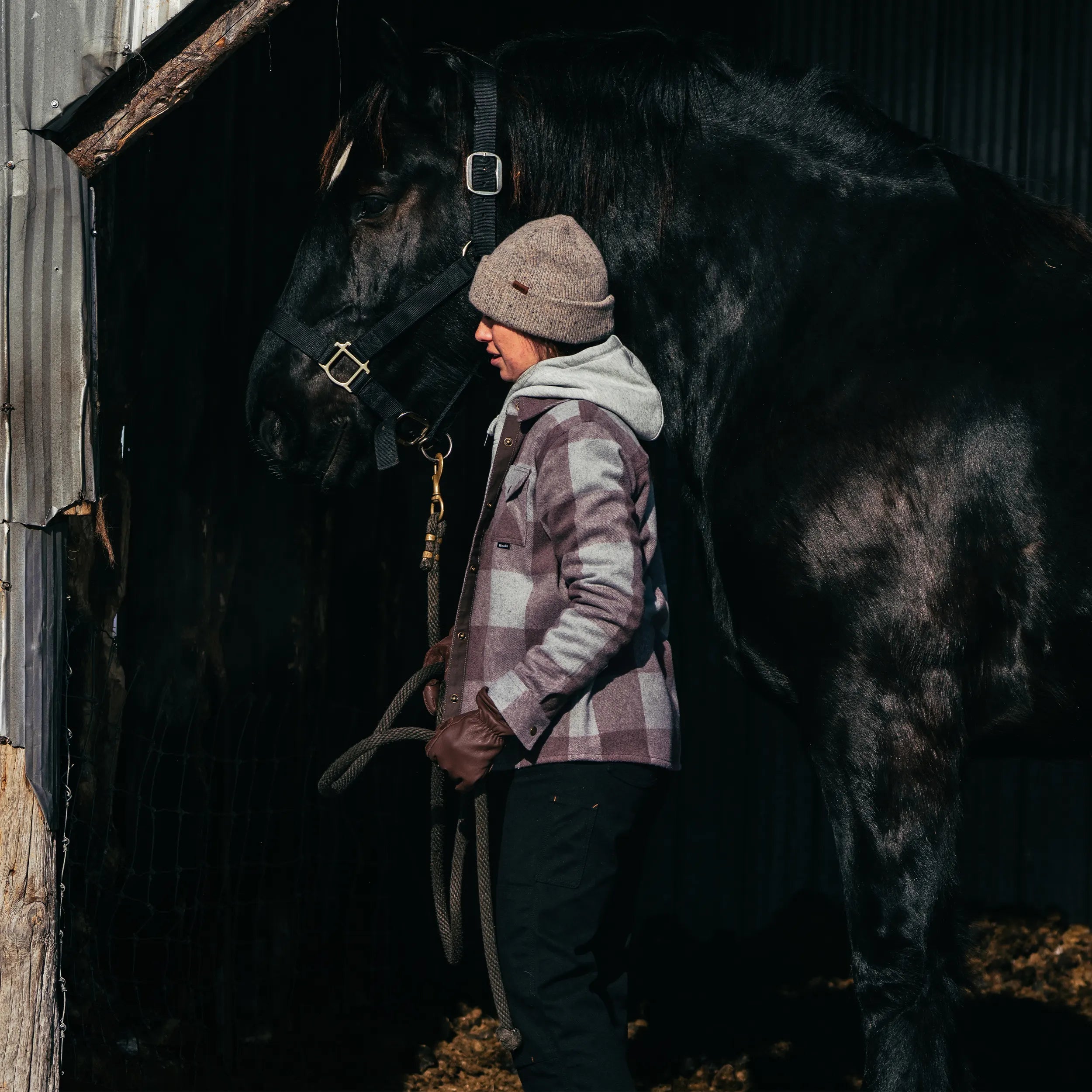 W's Canadian Overshirt - Hooké