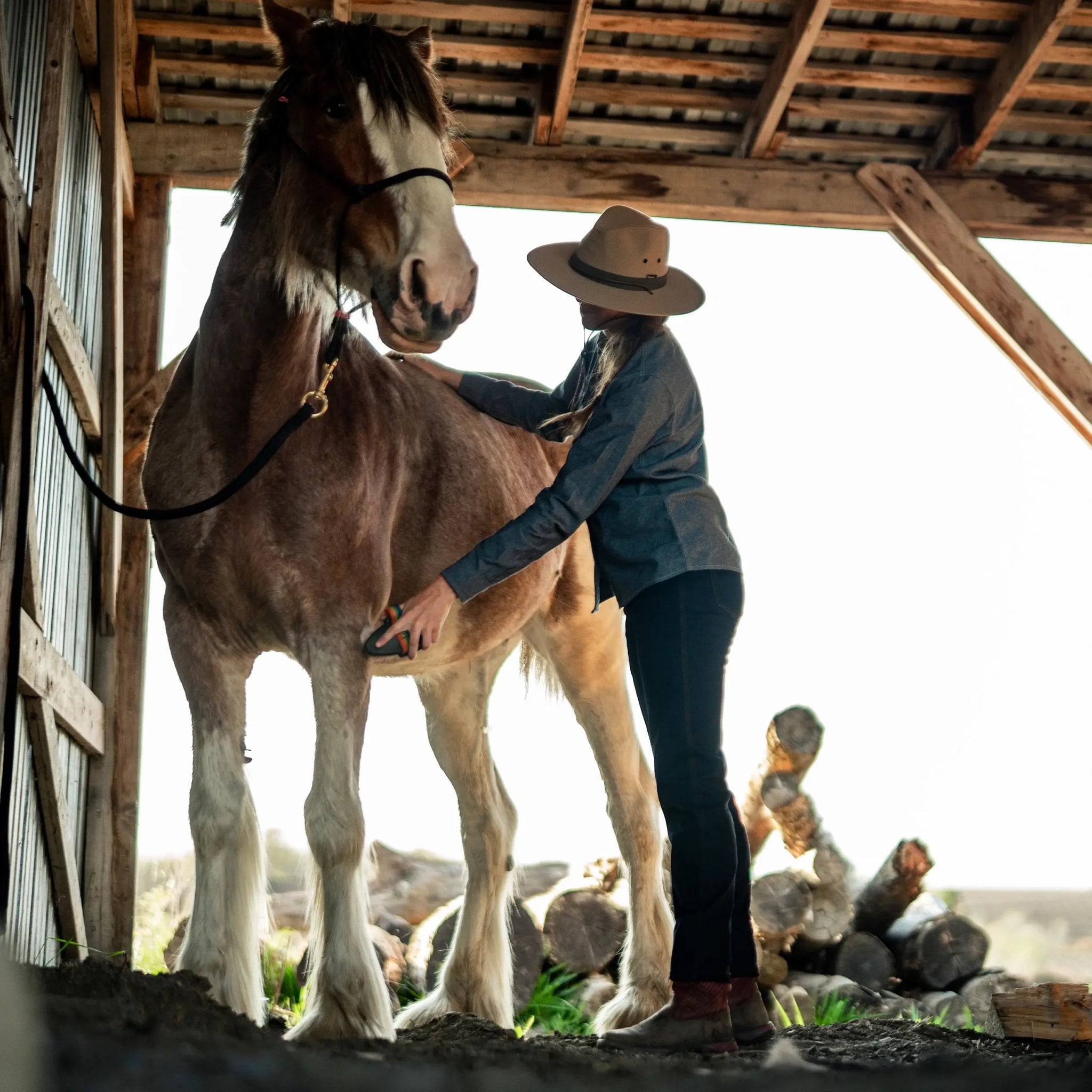 W's Denim Pants - Hooké