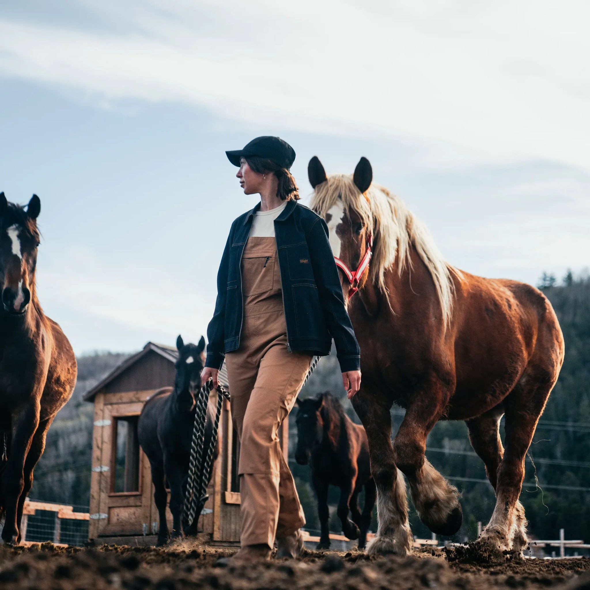 W's Denim Trucker Work Jacket - Hooké