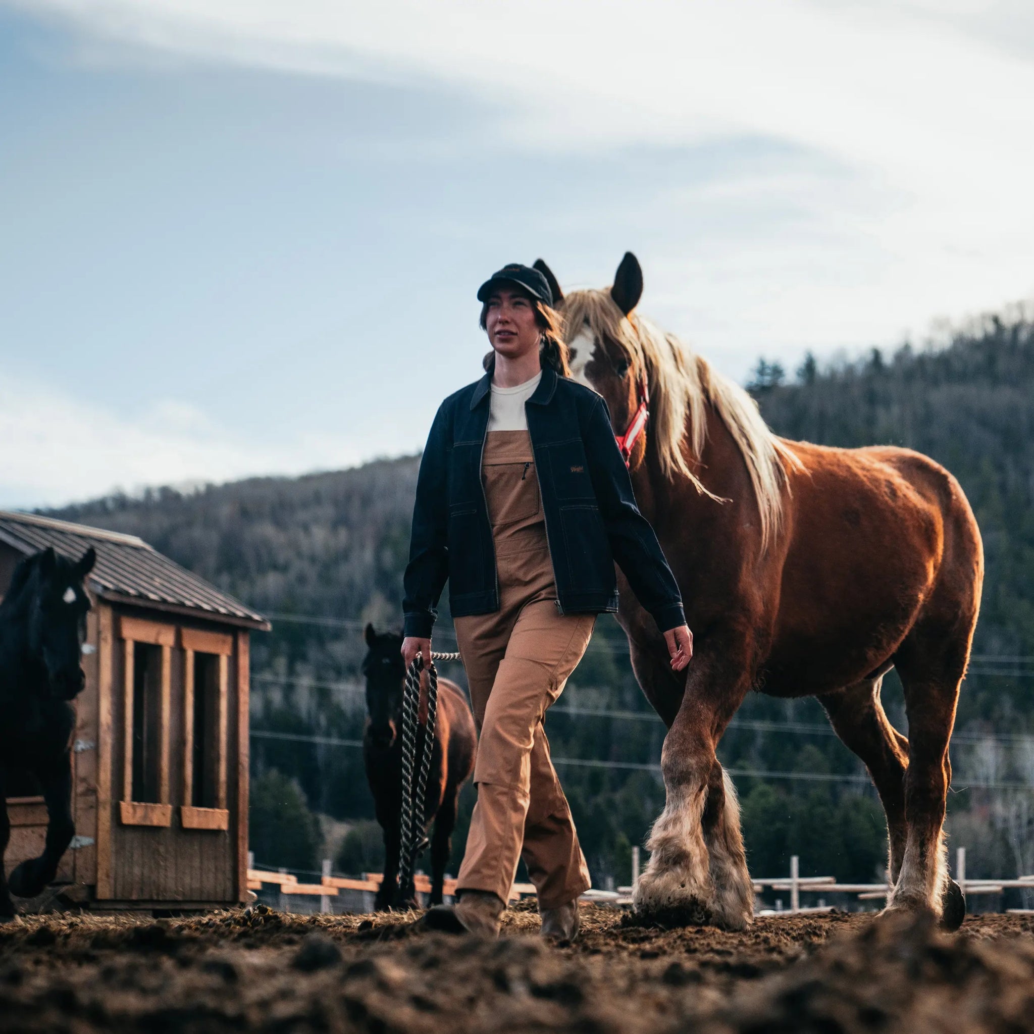 W's Light Work Overalls - Hooké
