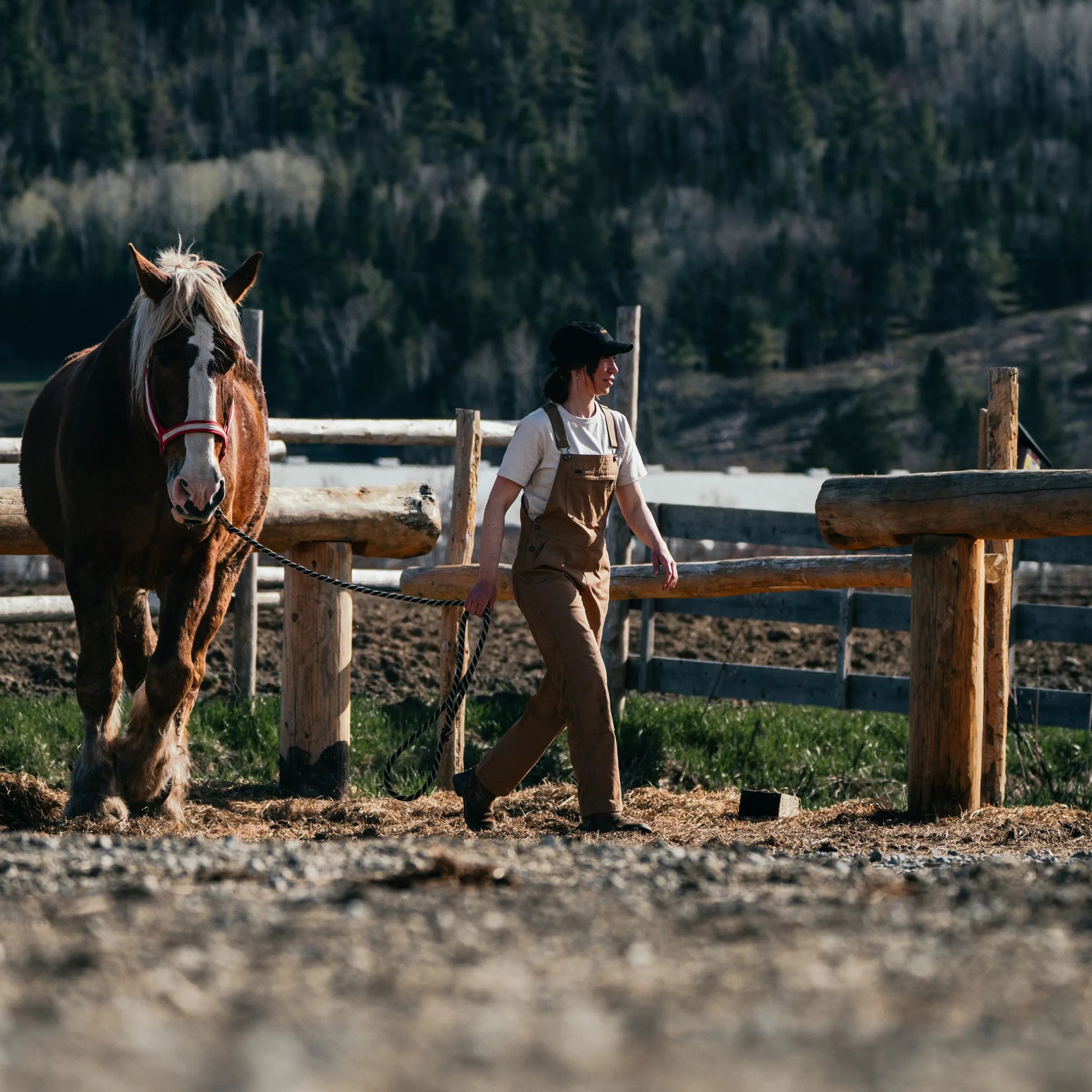 W's Light Work Overalls - Hooké