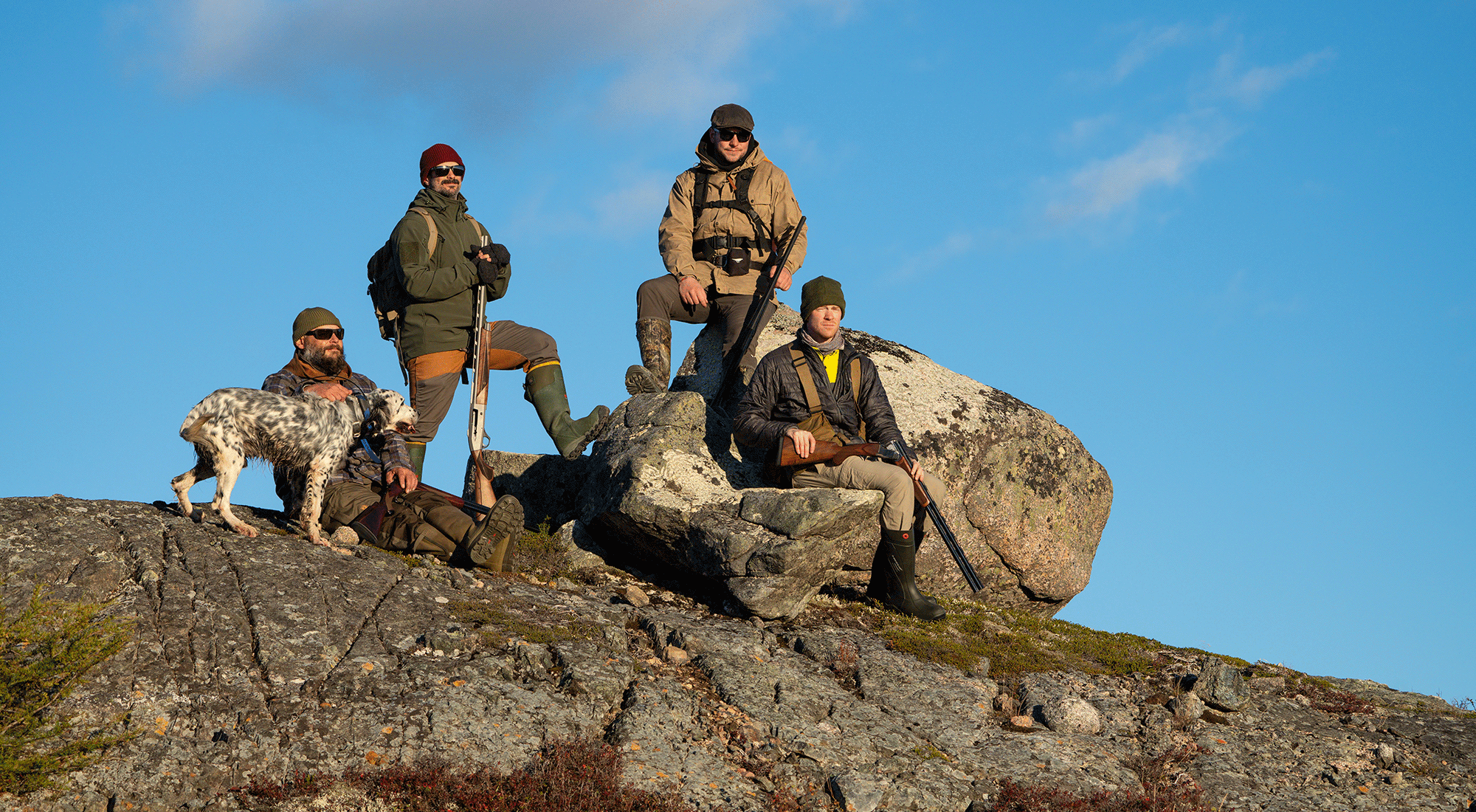 NEWFOUNDLAND : TRACKING PARTRIDGE WITH POINTER DOGS