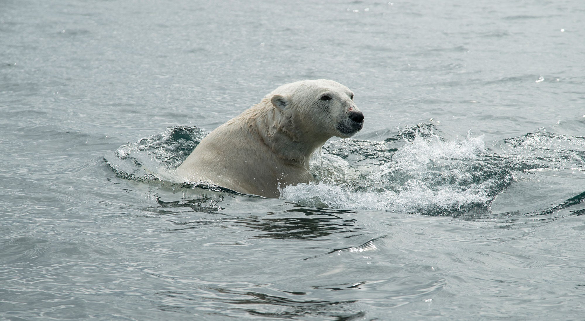 Nunavik: Kangirsuk