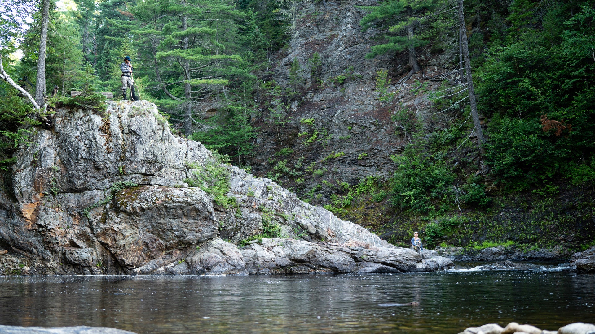 New Brunswick : Atlantic salmon in Miramichi river's tributaries