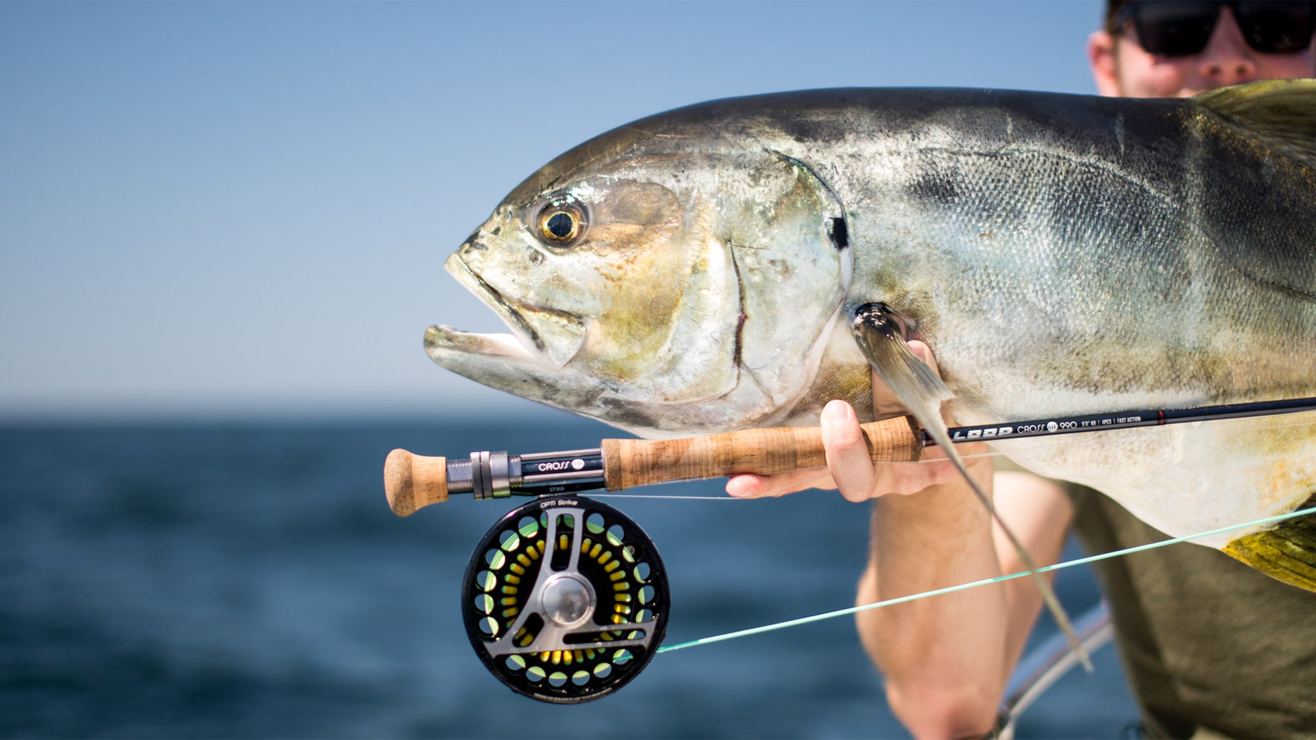 Puerto Vallarta : Salt water fishing in Mexico