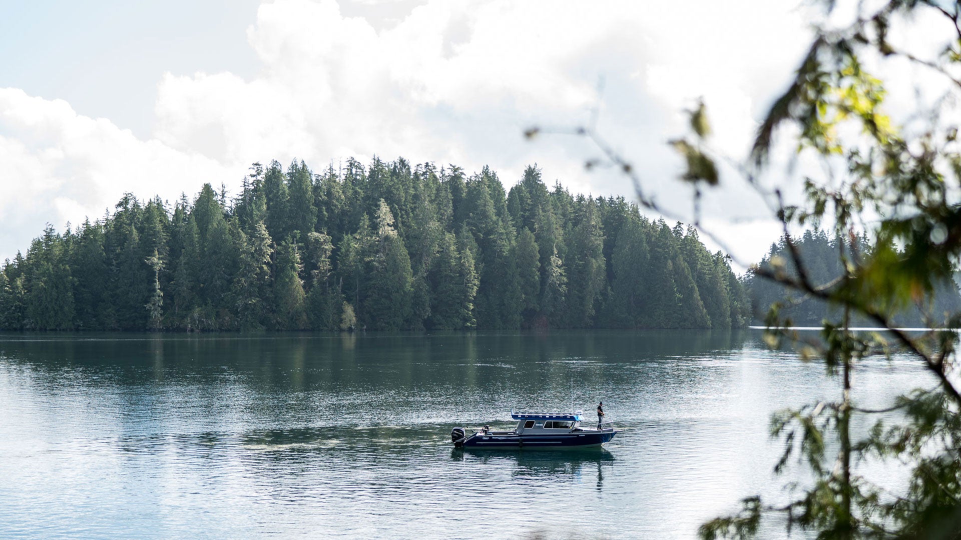 Tofino : Roadtrip on Vancouver Island