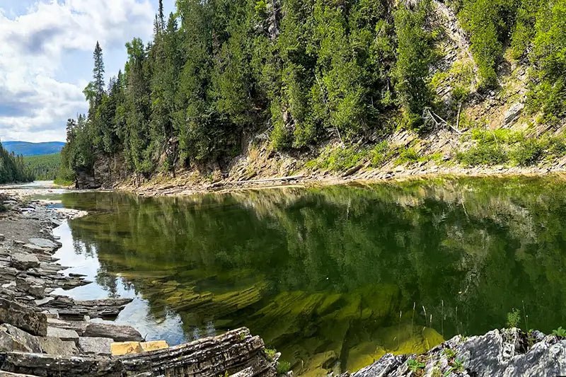 Atlantic Salmon:  What Future for Québec? - Hooké