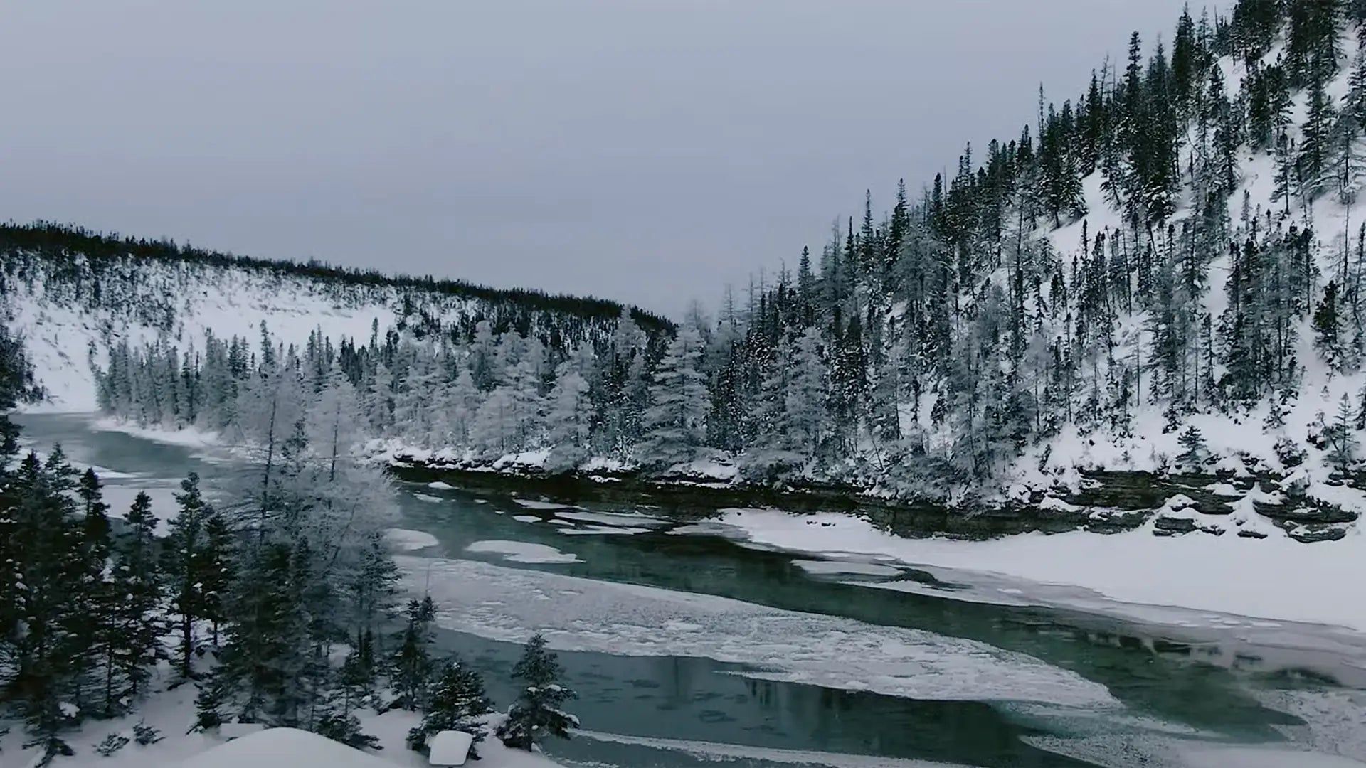 Anticosti : La bête sauvage