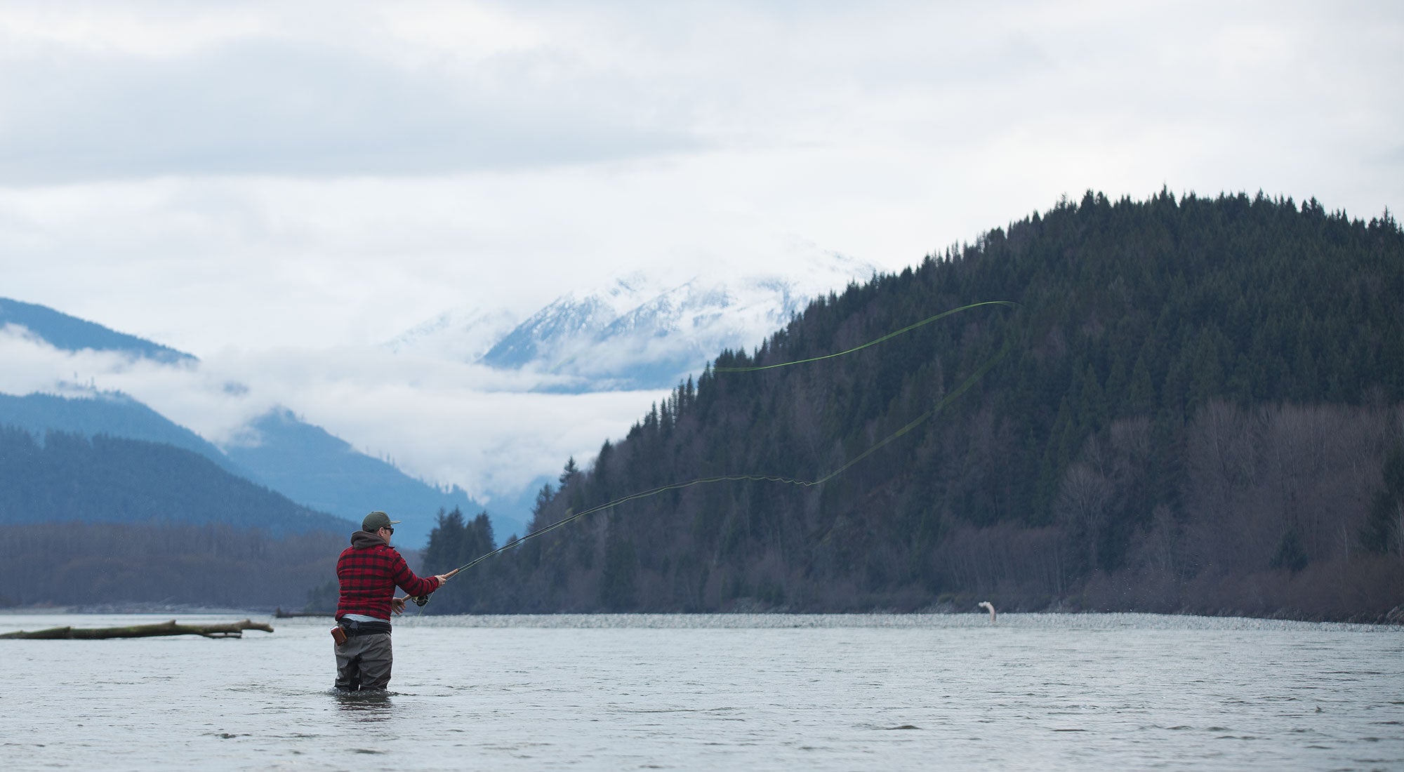 British Columbia : In search of steelhead