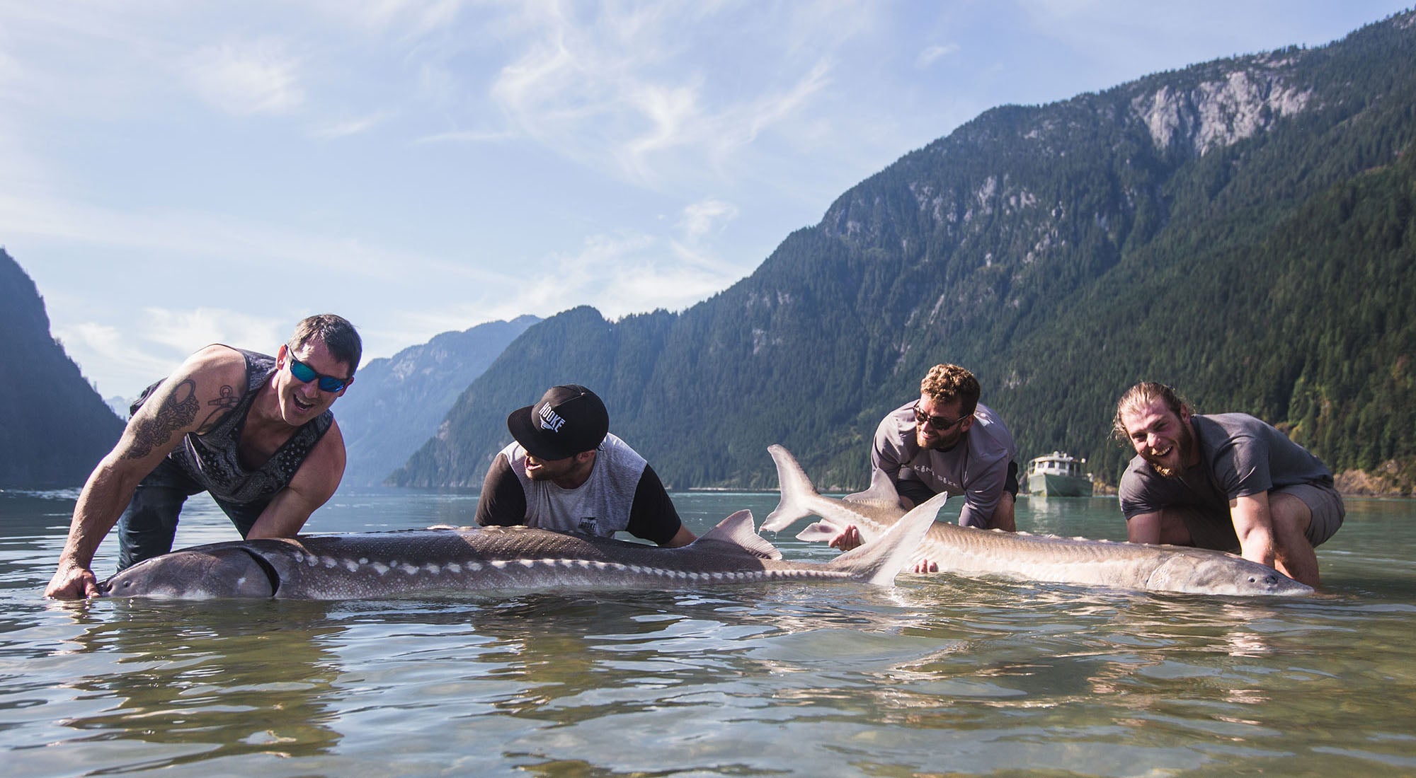 Sturgeon and Bull Trout at Pitt River Lodge