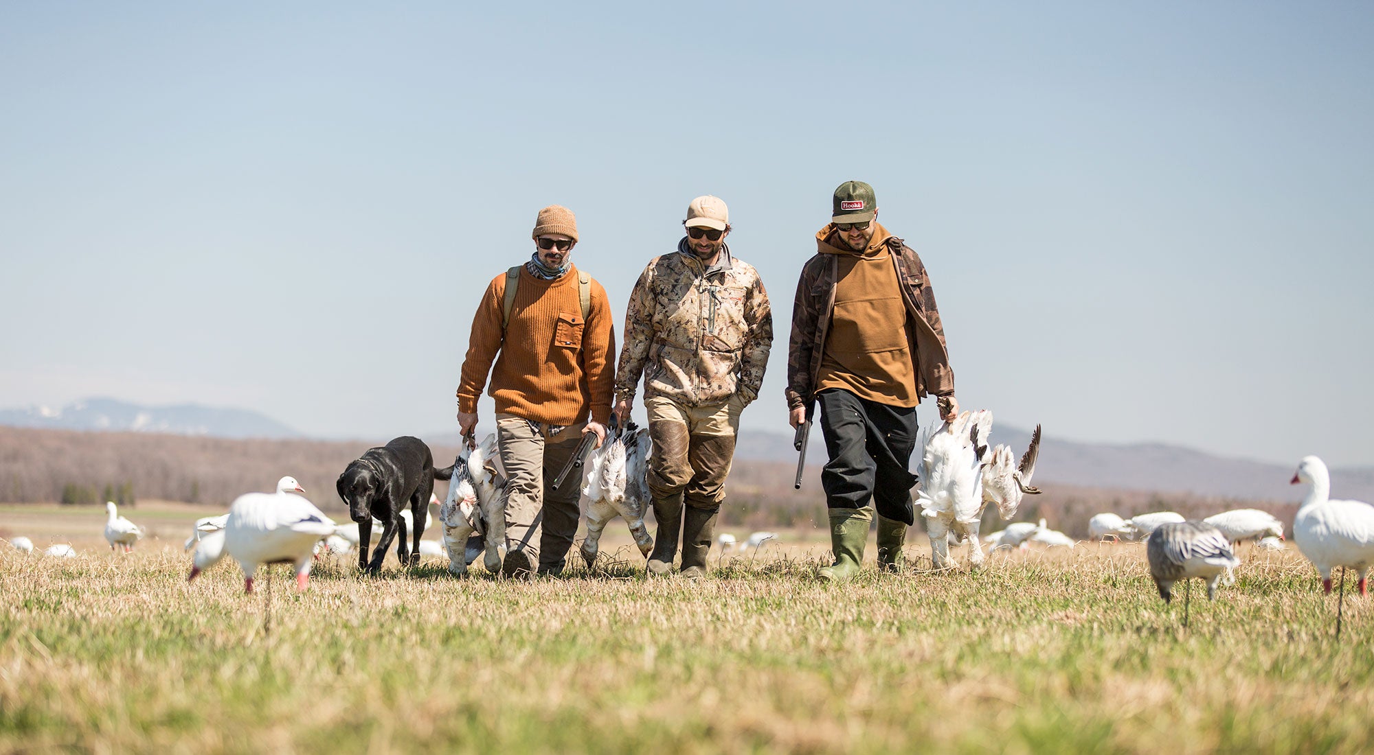 Victoriaville - Spring turkey and white geese