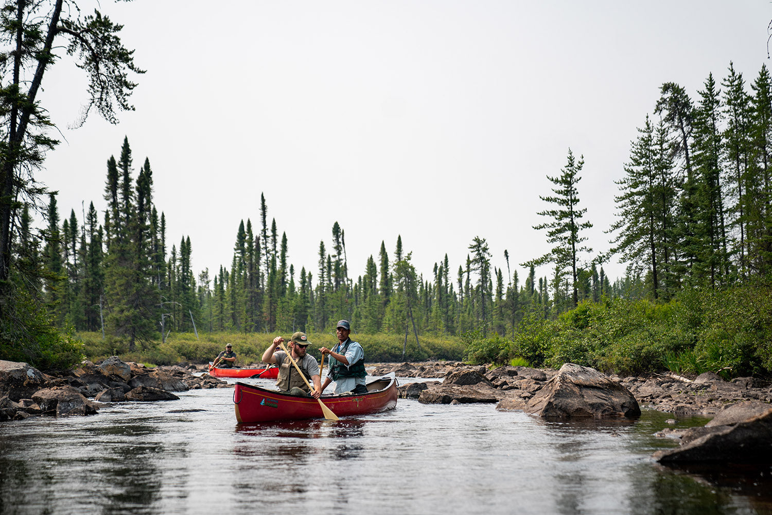 Boreal immensity and Cree traditions