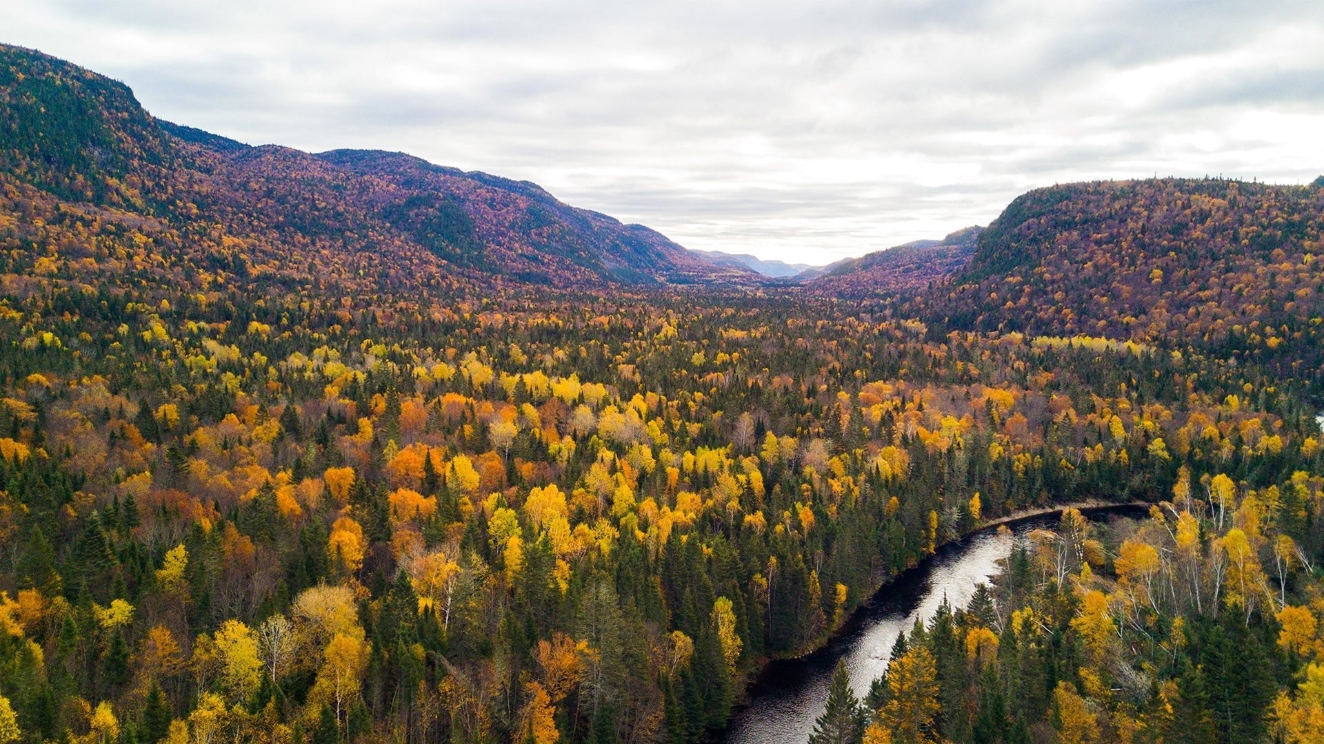 Saguenay: End of Season Fishing - Hooké
