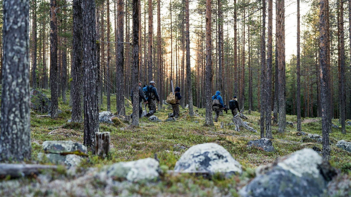 SWEDEN : IN SEARCH OF BALTIC SALMON