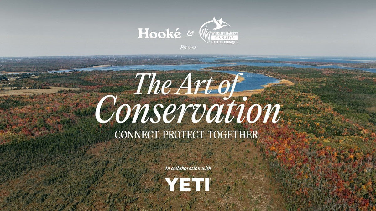 The Art of Conservation - Hooké